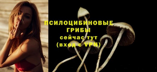 меф Новокубанск