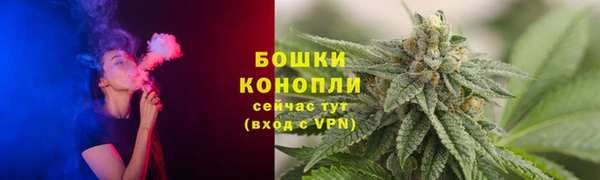 спиды Нея
