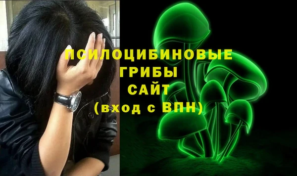 гидропоника Новодвинск
